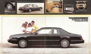 1983 Ford Thunderbird (011-Ann)-08-09.jpg